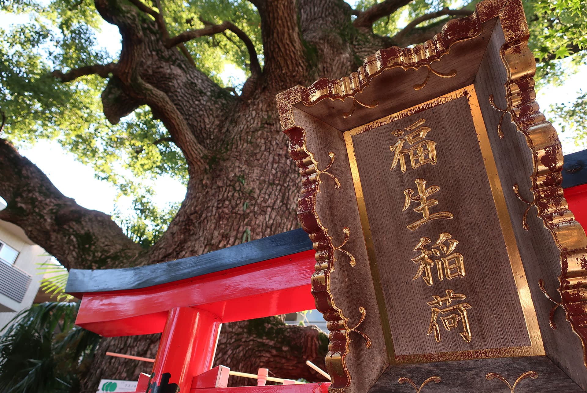 天台宗 三宝山神護院 大井聖天 大福生寺【公式】